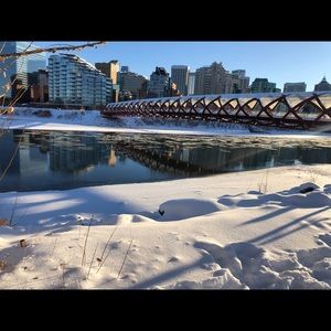 Meet your Posher, Diana